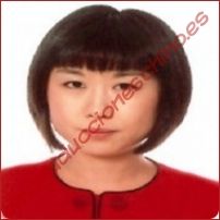 Interprete de chino instalación técnica